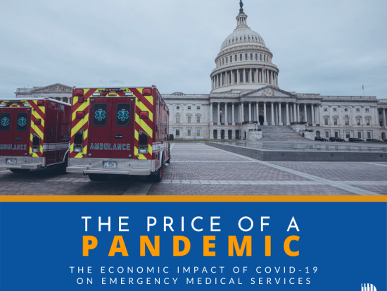 Price of a Pandemic
